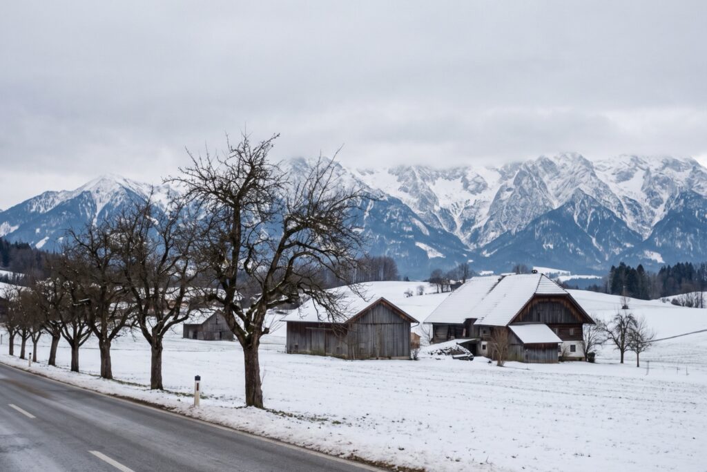 A cleared country road lined with bare trees passing snow-covered timber farmhouses, with a wall of snowy mountains under low cloud behind